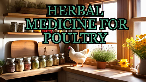 Herbal Medicine Guide for Healthy Ducks and Chickens