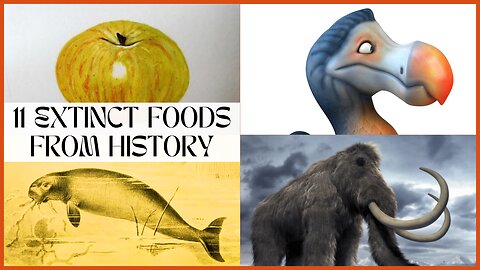 11 Extinct Foods from History