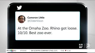 Rhino gets loose at the Omaha Zoo; everyone, including rhino, is fine