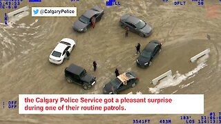 Calgary Police Helicopter Caught 6 Ladies Having A Socially-Distanced Dance Party (VIDEO)