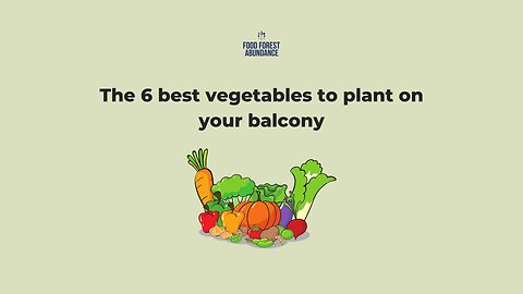 The 6 best vegetables to plant on your balcony