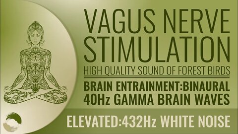 Vagus Nerve Stimulation Binaural 40Hz Anxiety Hunger Depression Weight Gain Heartburn