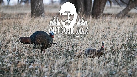 Best Turkey Hunting Decoy Setup EVER! | Outdoor Jack