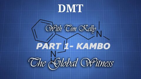 5-meo-DMT AWAKENING- CURING ADDICTION AND EMOTIONAL SLAVERY W/TIM KELLY