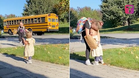 Toddler Runs To Greet Sister Off School Bus Every Day