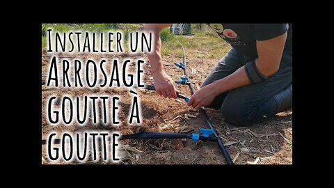 ARROSAGE GOUTTE à GOUTTE - Sécheresse oblige! #227