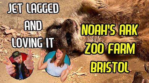 Noah's Ark Zoo Farm: Jet Lagged and Loving It Travel Vlog