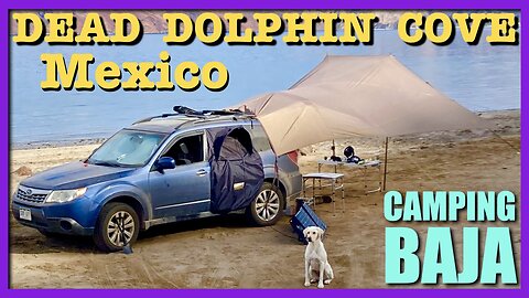 Dead Dolphin Cove Baja Mexico