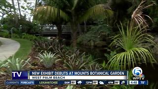 Mounts Botanical Garden opens 'Windows on the Floating World'