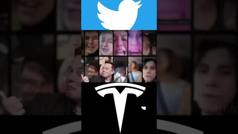 O Elon Musk nem assumiu o trono ainda e o Twitter já tá assim #short