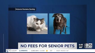 Waived adoption fees for senior pets at Arizona Humane Society