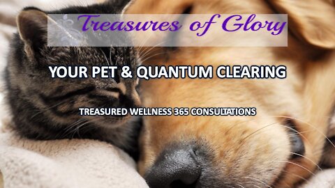 Your Pet & Quantum Clearing - TW365 Episode 23