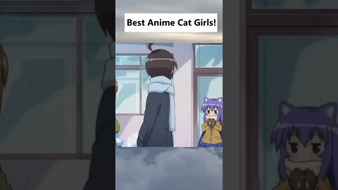 Catgirls are the best, nya!!-Liz🌸#Shorts #anime #funnymoments #catgirls #animeedit
