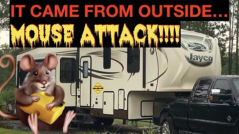 How to get rid of and prevent rodents in your RV