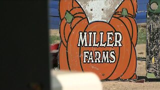 Denver7 viewers raise $5,000 for Miller Farms to help recover from tornado damage