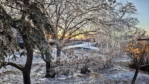 December Ice Storm 2023