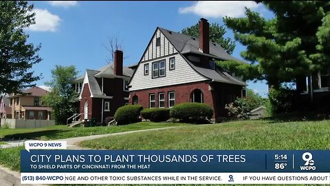 As temperatures soar, advocates hope unequal heat impacts can be helped by trees