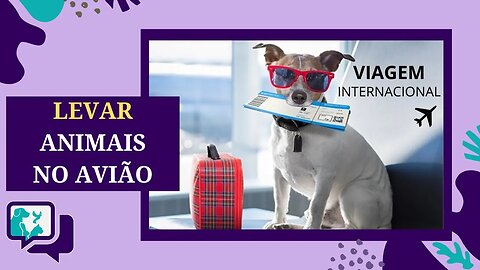 LEVAR ANIMAIS NO AVIÃO - Viagem Internacional - Preparativos e Documentação