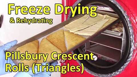Freeze Drying and Rehydrating Experiment with some Pillsbury Crescent Roll Triangles