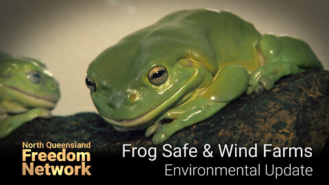 Frog Safe & Wind Farms UPDATE 2022-09-30