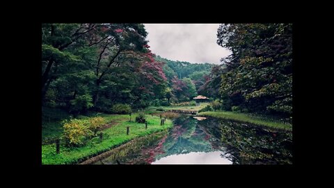 Rain over a calm lake in a secluded park in Tokyo