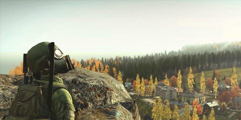 DayZ