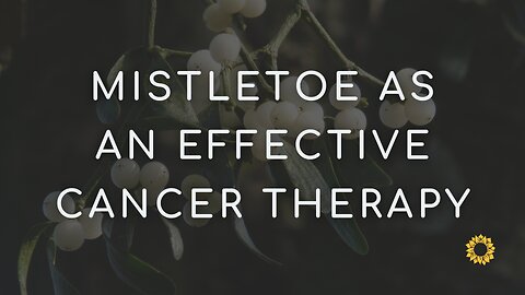 Benefits of Mistletoe as an Alternative Cancer Therapy | Brio Medical Alternative Cancer Clinic