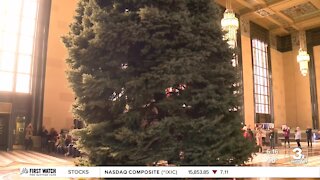 Omaha's official Christmas tree makes its way to the Durham Museum