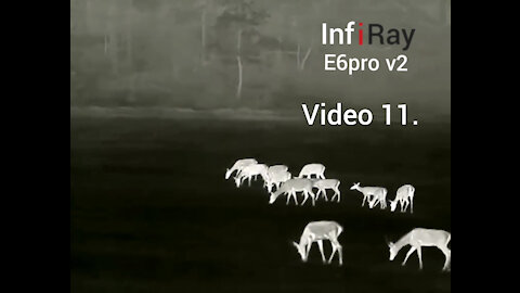 Video 11. Infiray E6pro v2
