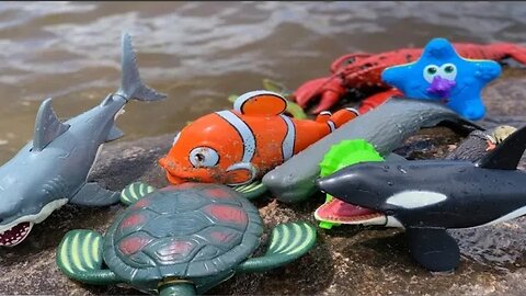 Sea Annimal Toys Video | Annimals | Kids | Toys