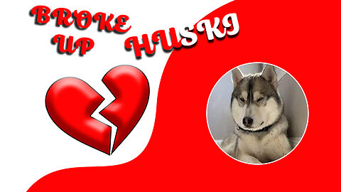 Heartbroken Husky: Coping with a Breakup, My Husky's Breakup Story