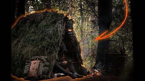 Building THE VIKING SHELTER - ALONE into the Spruce Grove - Bushcraft Birch BED