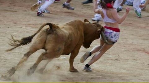 Best funny videos Most awesome bullfighting festival funny crazy bull fails