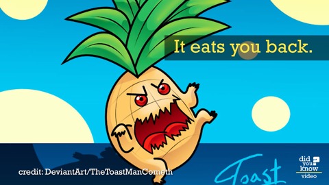 When You Eat Pineapple, It Eats You Back