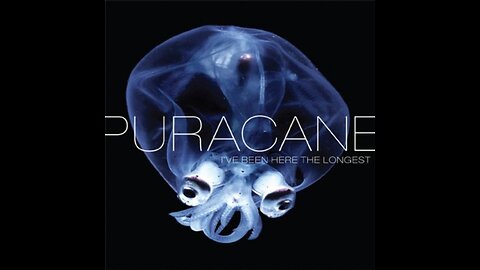 Puracane - I've Been Here the Longest (2009) Review / Discussion