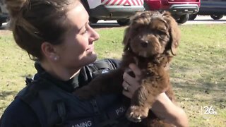 Hobart-Lawrence Police Department welcomes first therapy dog