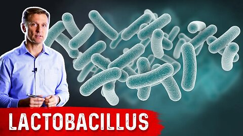 The Benefits of Lactobacillus (a Friendly Microbe)