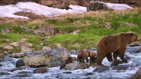 Kamchatka, life begins, respect for nature 6