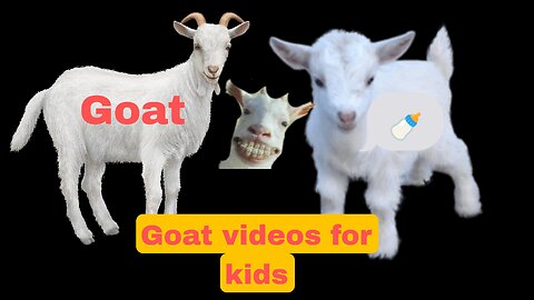 Goat videos for kids. Dog video comming soon trending videos for kids goat, goat's, cow, dog, dogs