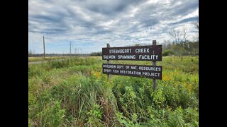 The Strawberry Creek Salmon Spawning Facility and Sturgeon Bay Ship Canal Fishing in Door County,WI