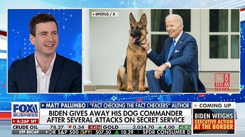 Joe Biden Allowed His Dog To Attack The Secret Service 24X, Blamed The Agents?