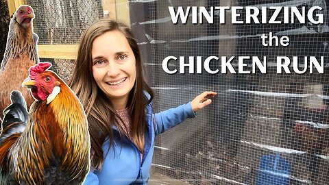 Winter is Coming (Keeping Our Chickens Warm)