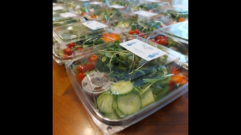 Spontaneous Salad Giveaway May 4, 2023