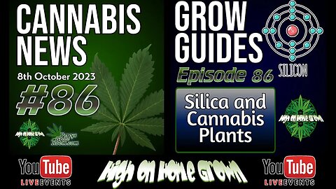 Cannabis Podcast Episode 157🌿 Cannabis News 🌍 Using Silica with Cannabis Plants🌱