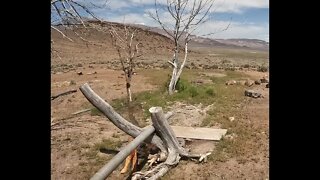 Old Desert Homestead