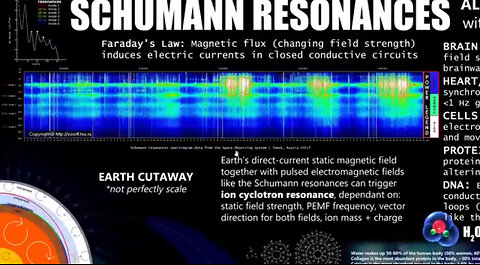 Schumann resonances basics, biology, & bioelectricity