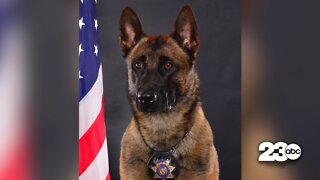 Kern County community comes together to honor fallen KCSO K-9