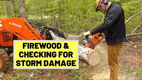 #128 Firewood Work & Checking For Storm Damage