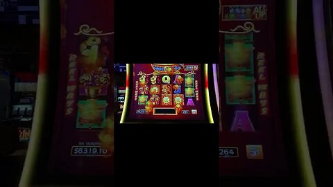 Winning Thousands of Dollars Guaranteed in Las Vegas!! #lasvegas #dancingdrums