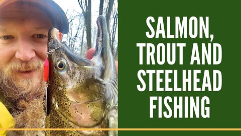 Coho Salmon, Trout And Steelhead Fishing Michigan / Steelhead Slammer Spinners First Impressions